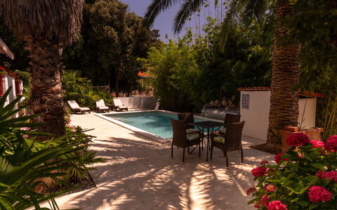 Botanica: Wohnung, Resort, Schwimmbad, Eigentumswohnung, Balkon, Hotel, Eco Hotel, Villa, Zimmerpflanze