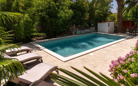 Botanica: Wohnung, Resort, Schwimmbad, Eigentumswohnung, Balkon, Hotel, Eco Hotel, Villa, Zimmerpflanze