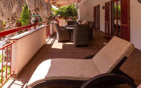 Botanica: Wohnung, Resort, Schwimmbad, Eigentumswohnung, Balkon, Hotel, Eco Hotel, Villa, Zimmerpflanze