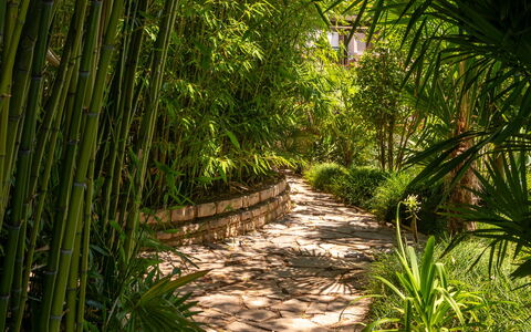 Botanica: Wohnung, Resort, Schwimmbad, Eigentumswohnung, Balkon, Hotel, Eco Hotel, Villa, Zimmerpflanze