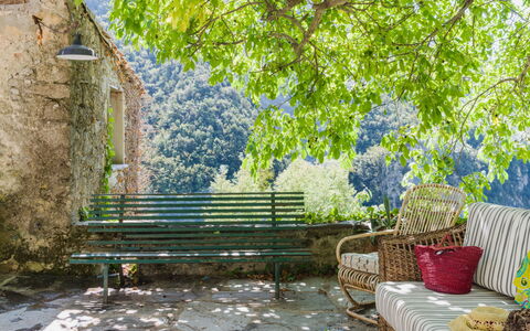 Casa Il Noce: Wohnung, Resort, Schwimmbad, Eigentumswohnung, Balkon, Hotel, Eco Hotel, Villa, Zimmerpflanze