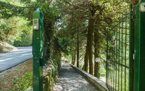Casa Il Noce: Wohnung, Resort, Schwimmbad, Eigentumswohnung, Balkon, Hotel, Eco Hotel, Villa, Zimmerpflanze