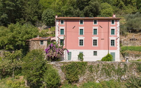 Casa Il Noce: Wohnung, Resort, Schwimmbad, Eigentumswohnung, Balkon, Hotel, Eco Hotel, Villa, Zimmerpflanze