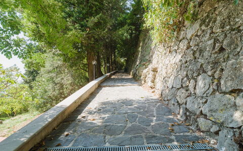 Casa Il Noce: Wohnung, Resort, Schwimmbad, Eigentumswohnung, Balkon, Hotel, Eco Hotel, Villa, Zimmerpflanze