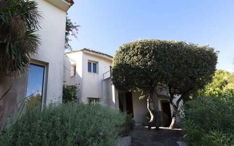 Cala Rossa: Wand, Wohngebiet, Strauch, Haus, Die Architektur, Zuhause, Dach, Estate, Garten, Hazienda