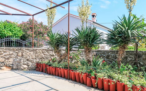 Mateja: Blumentopf, Garten, Zimmerpflanze, Landscaping, Floristik, Botanischer Garten