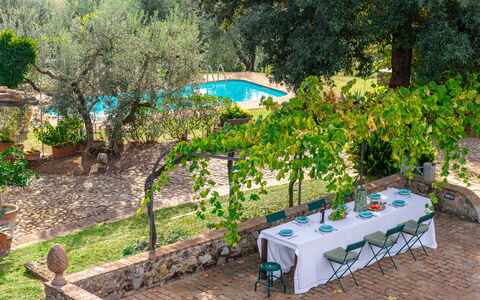Podere Selva, Pool, Chianti: Strauch, Garten, Schwimmbad, Schatten, Hinterhof, Gartenmöbel, Landscaping, Garten, Resort, Blumentopf