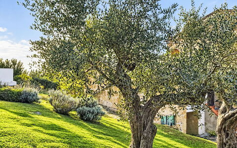 Bellomori House: Backstein, Estate, Garten, Vorort, Auffahrt, Landscaping, Garten, Hazienda, Bauernhaus, Hinterhof