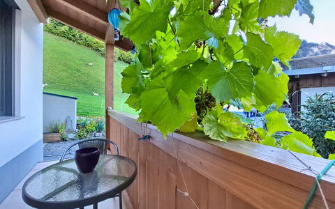 Oberladstätter: Schatten, Holzbeize, Hartholz, Eco Hotel, Balkon, Zimmerpflanze