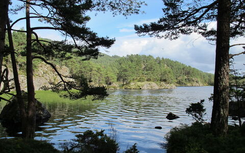 Hauken: Wasservorräte, Wasser, Gewässer, Baum, Natur, Natürlichen Umgebung, Grün, Natürliche Landschaft, Vegetation, Wasserlauf