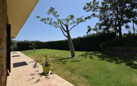 Zuccheri Canditi: Garten, Grundstueck, Rasen, Schatten, Landscaping, Hinterhof, Garten, Flagstone, Walkway