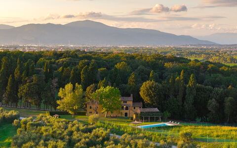 Villa del Poggio D'Oro 8: Baum, Landschaft, Grundstueck, Ländliches Gebiet, Einfach, Zuhause, Estate, Wiese, Bauernhaus, Plantage