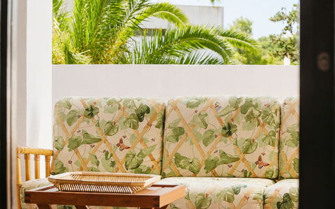 Paloma: Möbel, Interior Design, Wohnzimmer, Kissen, Gartenmöbel, Blumentopf, Zimmerpflanze, Couch, Schatten