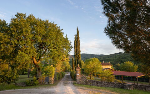 Tuscan Hamlet Relais Piettorri: Blatt, Baum, Ast, Kofferraum, Sonnenlicht, Zweig, Schatten, Landscaping, Auffahrt, Schatten