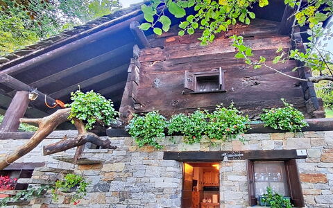 Chalet degli Gnomi: Baum, Schnee, Winter, Wald, Einfrieren, Lärche, Immergrün, Wald