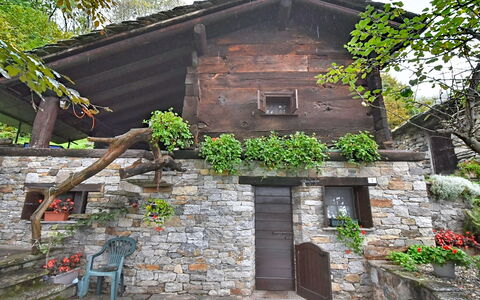 Chalet degli Gnomi: Baum, Schnee, Winter, Wald, Einfrieren, Lärche, Immergrün, Wald
