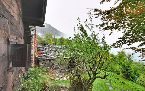 Chalet degli Gnomi: Baum, Schnee, Winter, Wald, Einfrieren, Lärche, Immergrün, Wald