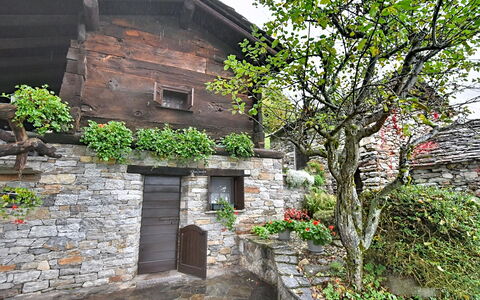 Chalet degli Gnomi: Baum, Schnee, Winter, Wald, Einfrieren, Lärche, Immergrün, Wald