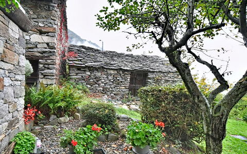 Chalet degli Gnomi: Baum, Schnee, Winter, Wald, Einfrieren, Lärche, Immergrün, Wald