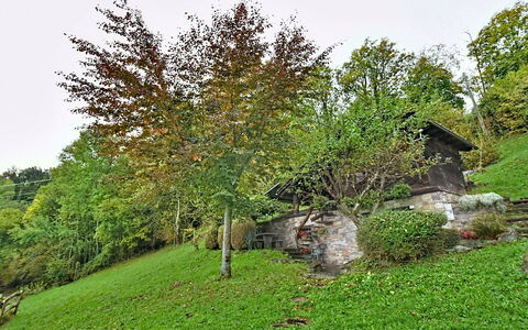 Chalet degli Gnomi: Baum, Schnee, Winter, Wald, Einfrieren, Lärche, Immergrün, Wald