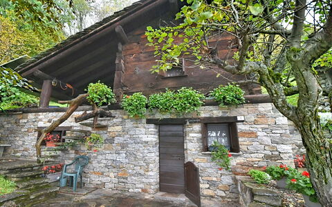 Chalet degli Gnomi: Baum, Schnee, Winter, Wald, Einfrieren, Lärche, Immergrün, Wald