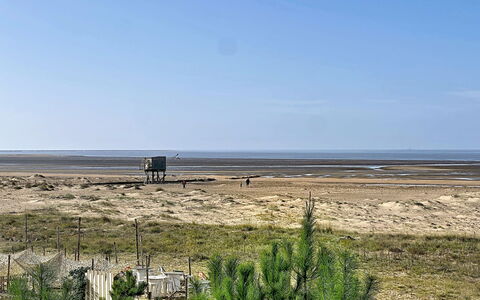 Le Padioleau: Horizont, Ökoregion, Einfach, Grundstueck, Steppe, Meer, Küste, Ufer, Strand, Sand