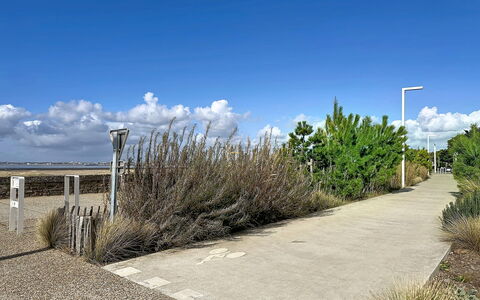 Le Padioleau: Himmel, Strauch, Pflanzengemeinschaft, Grundstueck, Walkway, Weg, Shrubland