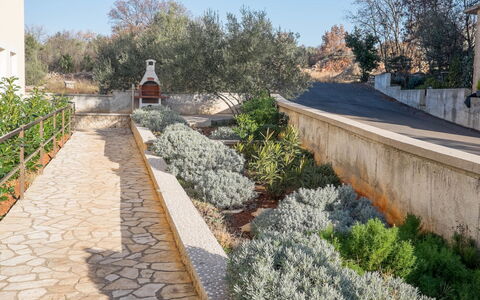 Ivana: Strauch, Garten, Ground, Landscaping, Walkway, Flagstone, Hinterhof, Garten