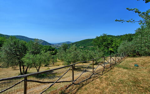 Poggio Conca: Natur, Himmel, Natürlichen Umgebung, Natürliche Landschaft, Baum, Wildnis, Berg, Naturschutzgebiet, Ländliches Gebiet, Bergstation