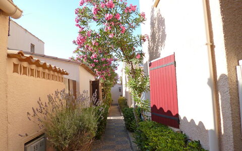 Les Leucatines 3: Eigentum, Haus, Rosa, Gebäude, Die Architektur, Gasse, Pflanze, Baum, Grundeigentum, Blume