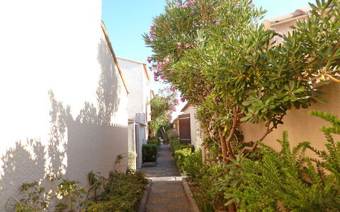 Les Leucatines 3: Baum, Eigentum, Vegetation, Grundeigentum, Haus, Nachbarschaft, Pflanze, Die Architektur, Botanik, Gehölz