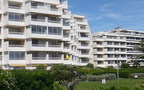 Canet-Plage 710: Pflanze, Gebäude, Eigentum, Fenster, Himmel, Baum, Tower Block, Urban Design, Nachbarschaft, Wohngebiet