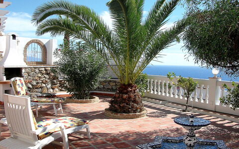 Villa Mimosa: Eigentum, Baum, Palme, Grundeigentum, Gebäude, Arecales, Urlaub, Majorelle Blue, Azurblau, Haus