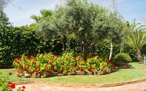 Mijas Beach: Garten, Blume, Baum, Pflanze, Strauch, Botanischer Garten, Botanik, Frühling, Gehölz, Landschaft