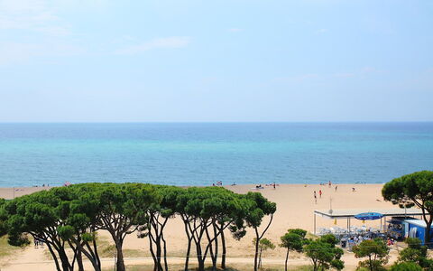 Paisos Catalans: Meer, Strand, Baum, Himmel, Küste, Ufer, Horizont, Ozean, Urlaub, Tourismus