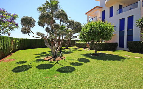 Alma del Sol: Eigentum, Gras, Grün, Baum, Rasen, Vegetation, Grundeigentum, Haus, Botanik, Estate