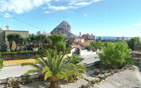 Jara: Vegetation, Eigentum, Botanischer Garten, Daytime, Botanik, Garten, Grundeigentum, Himmel, Baum, Tourismus