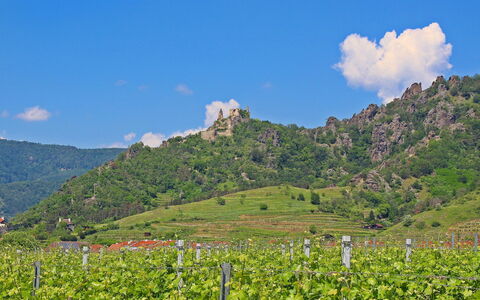 Haus Fries: Berg, Wolke, Himmel, Pflanze, Pflanzengemeinschaft, Ökoregion, Natur, Natürliche Landschaft, Blatt, Natürlichen Umgebung