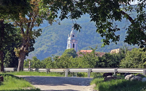 Haus Fries: Pflanze, Himmel, Eigentum, Baum, Natürliche Landschaft, Die Architektur, Gebäude, Vegetation, Strassenbelag, Wand
