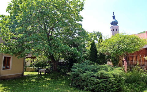 Aggsbach Markt 10: Pflanze, Himmel, Blatt, Fenster, Natürliche Landschaft, Gras, Baum, Gebäude, Gehölz, Strauch