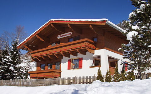 Haus am Sonnenhang: Himmel, Schnee, Baum, Holz, Steigung, Lärche, Hütte, Einfrieren, Fassade, Pflanze