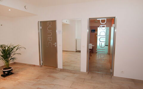Seefeld in Tirol 170: Pflanze, Tür, Blumentopf, Holz, Zimmerpflanze, Gebäude, Flooring, Home Door