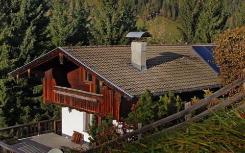 Kaiserhof: Gebäude, Eigentum, Fenster, Baum, Holz, Steigung, Haus, Pflanze, Grundstueck, Hütte