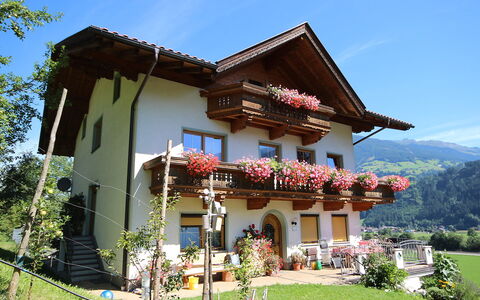 Herbert: Pflanze, Himmel, Gebäude, Fenster, Baum, Haus, Botanik, Vegetation, Grundstueck, Hütte