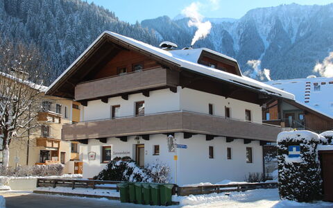 Mayrhofen 300: Berg, Gebäude, Himmel, Schnee, Eigentum, Wolke, Fenster, Pflanze, Haus, Baum