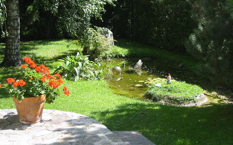 Pettneu am Arlberg 250: Garten, Rasen, Natürliche Landschaft, Gras, Garten, Botanik, Landscaping, Landschaft, Botanischer Garten, Strauch