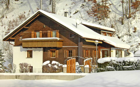 Josefine: Pflanze, Gebäude, Schnee, Fenster, Tür, Haus, Baum, Ast, Hütte, Holz