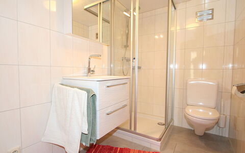 Schruns 25: Badezimmer, Eigentum, Zimmer, Fliese, Armatur, Interior Design, Zapfhahn, Fussboden, Grundeigentum, Die Architektur