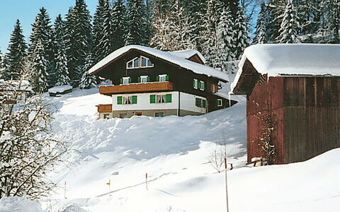 Schruns 25: Schnee, Eigentum, Gebäude, Himmel, Natur, Haus, Baum, Steigung, Lärche, Einfrieren