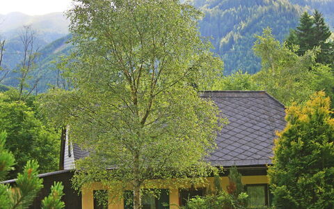 Richter: Natur, Baum, Vegetation, Haus, Berg, Bergstation, Eigentum, Bergforms, Zuhause, Dach